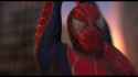 SPIDER SOVL_thumb.jpg