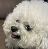 1740477771724345