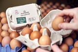 Morrisons_Kitemark_Eggs_01-scaled