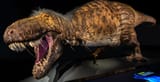 most-accurate-T-rex-model-featured