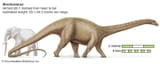 dinosaur-Brontosaurus-size-elephant-favour-taxonomists-Emanuel-April-2015