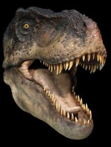 head1