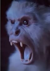 monke