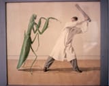 untitled-praying-mantis-date-unknown