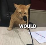 would