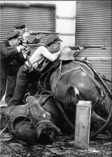 DeadHorse2