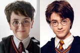 new-harry-old-harry