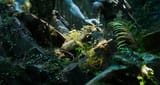 avatar 2