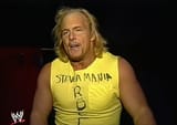 stevamania