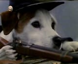 wishbone