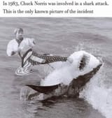 Chuck Norris Shark Attack