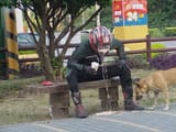 puke-helme