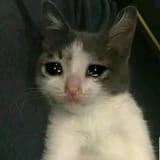 sadkitty