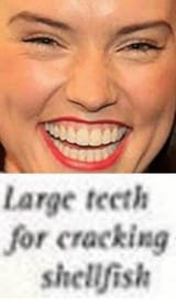 largeteeth