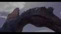 spino swim_thumb.jpg