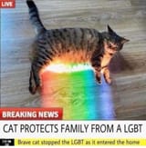 J0UdfTR
