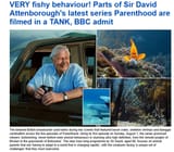 BBC liars