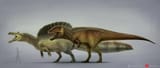 spinosaurus_and_carcharodontosaurus_by_mariolanzas_dhrz1a1-fullview-2053641099
