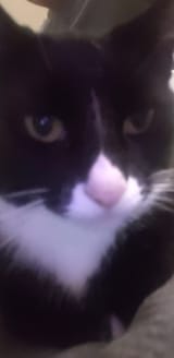 1733213649662427