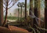 the-carboniferous-period-when-giant-insects-ruled-the-land-and-sky