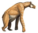 chalicotheres