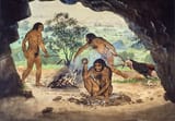 homo-erectus-fire-and-tool-prep-two-column