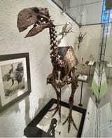 gastornis gigantea