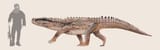 barinasuchus arveloi