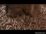 hot-shots