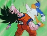 donald boner goku