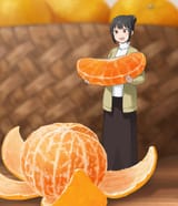 オレンジのスライス
