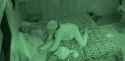 Jocasta, the minster, dry humping Devin&#039;s bed._thumb.jpg