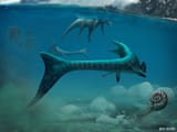 tylosaurus_julio-lacerda