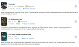 Screenshot 2025-08-05 at 21-00-49 fairies Movie Horror (Sorted by Popularity Ascending)