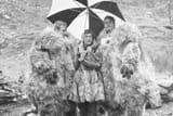 fur_coat[1]