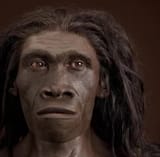 erectus_JC_Recon_Head_CC_f_l.jpg