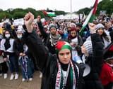 file-20210531-13-1tov05d