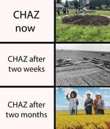 7432255322