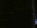 Howling V The Rebirth [1989]_thumb.jpg