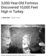 1754511331413