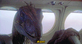 alan-raptor(1)