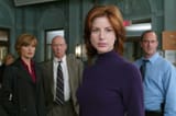 law-and-order-svu-diane-neal