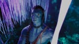 Avatar.2009.Extended.Collectors.Cut.PROPER.UHD.BluRay.2160p.DDP.5.1.DV.HDR.x265-hallowed.mkv_snapshot_01.35.13.882