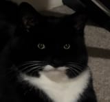 1742848882011943