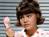 Gidget