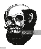 skull-pirate-with-full-beard