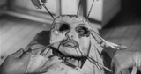 eyes-without-a-face-transplant