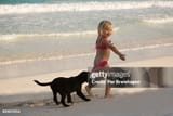 gettyimages-82407656-170667a