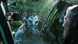 Neytiri_6794