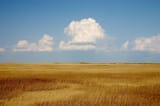 Cumulus_Clouds_over_Yellow_Prairie2